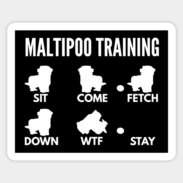 Maltipoo Training Maltipoo Tricks Sticker by DoggyStyles